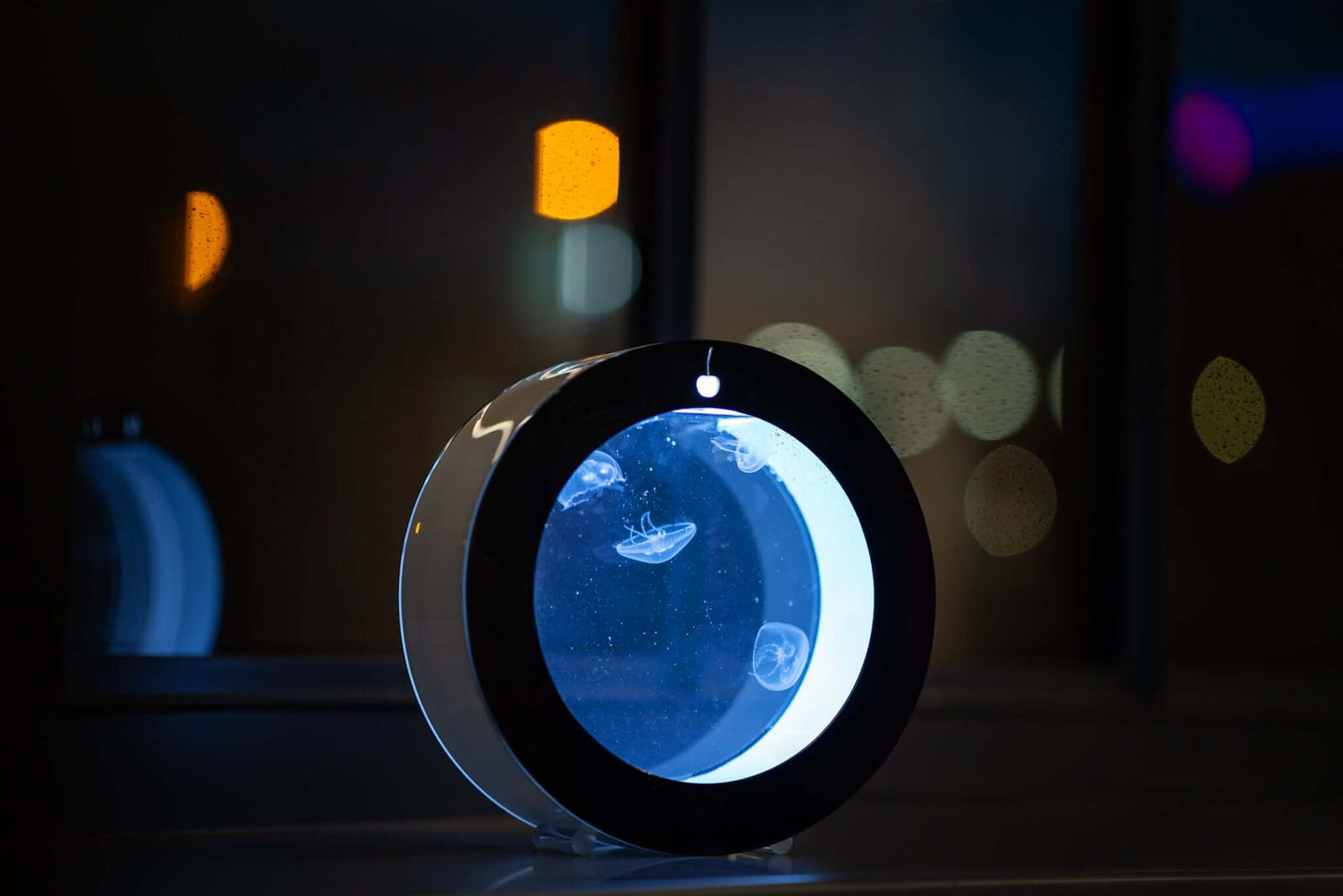 O2 jellyfish aquarium - PetJellyfishUS