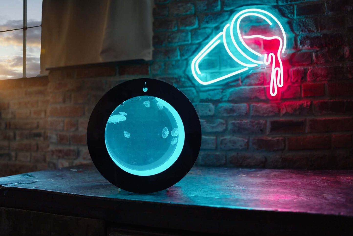 O16 jellyfish aquarium - PetJellyfishUS