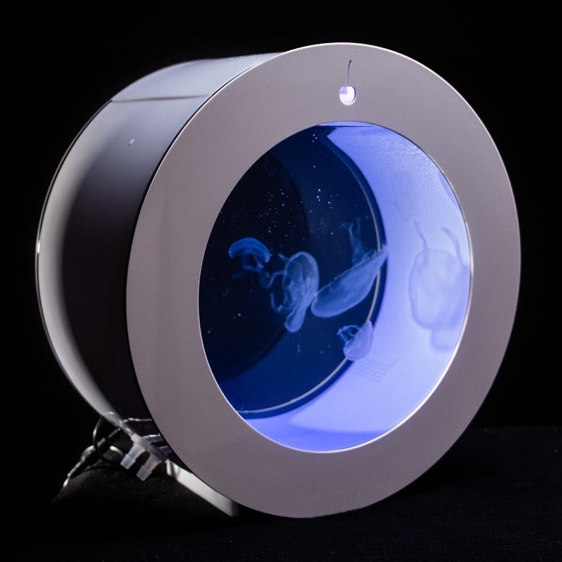 O16 Jellyfish Aquarium starter kit