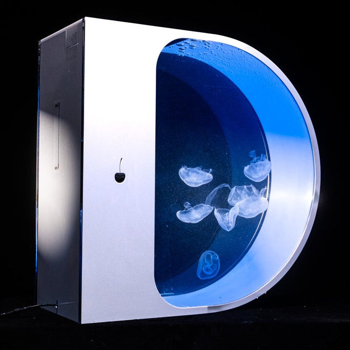 Alpha55 jellyfish aquarium