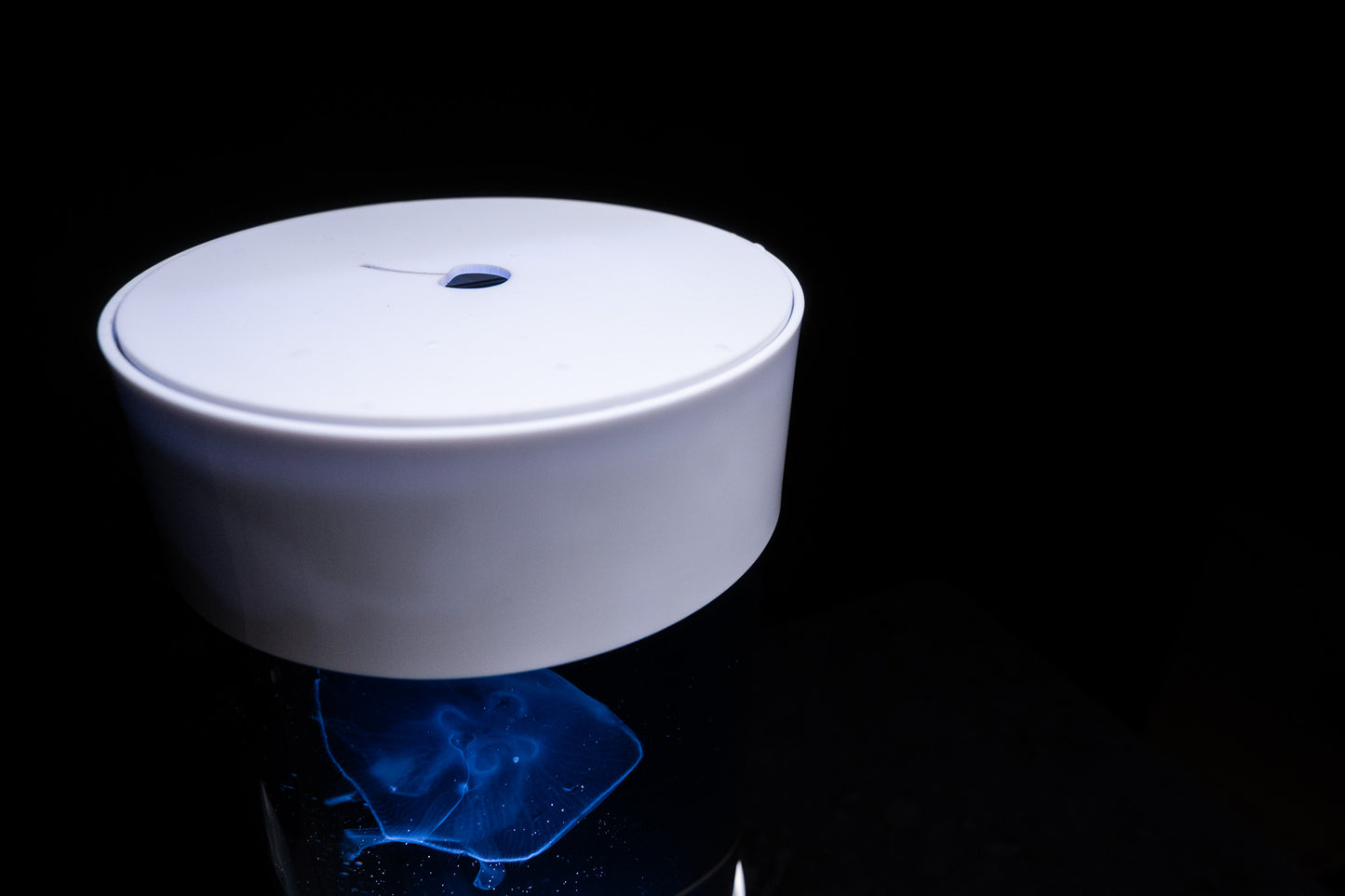 C8 Nano Jellyfish Aquarium starter kit