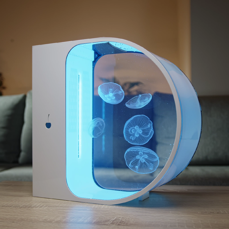 5 gallon jellyfish tank clearance