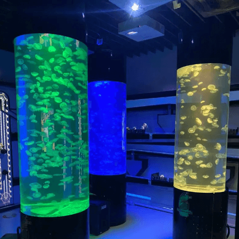 Large jellyfish tank best sale