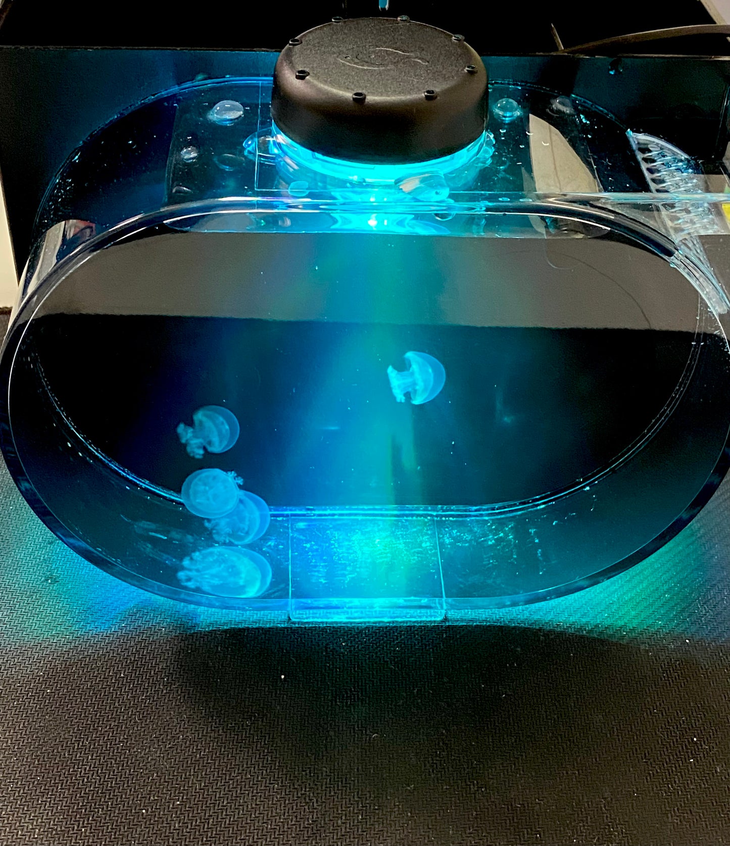Deluxe Jellyfish Aquarium starter kit