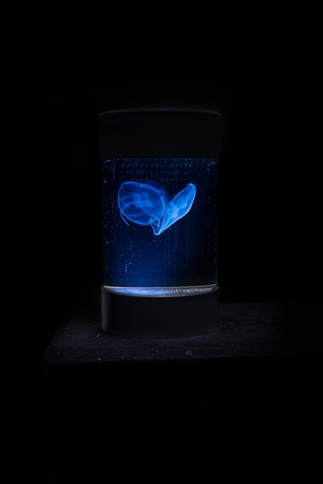 C8 Nano Jellyfish Aquarium starter kit