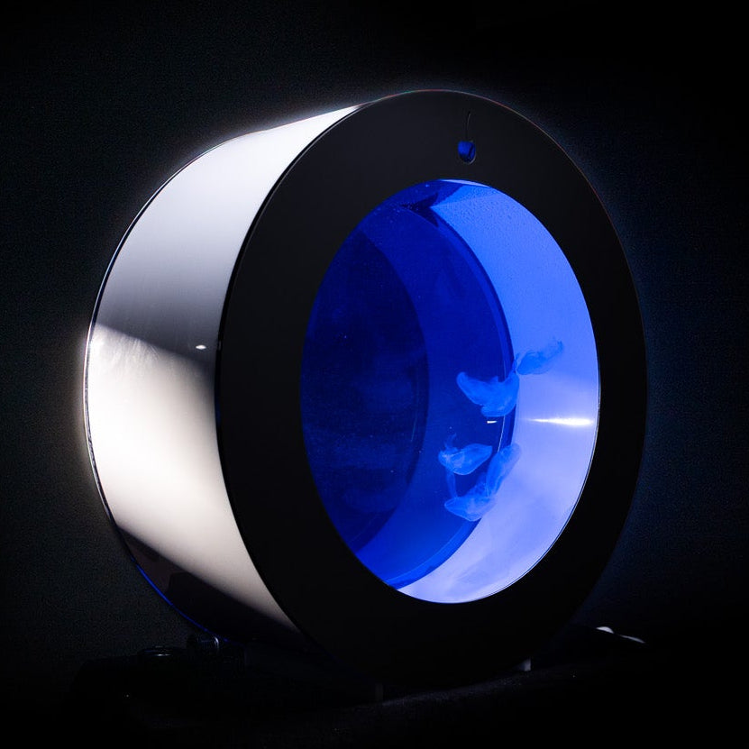 O287 jellyfish aquarium starter kit