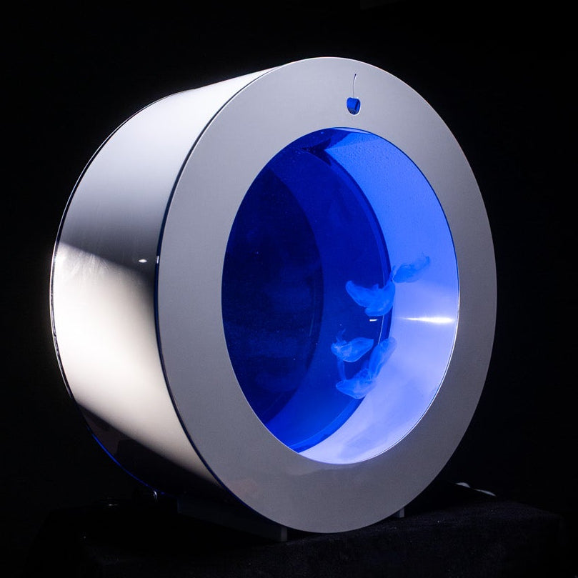 O287 jellyfish aquarium starter kit