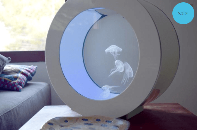 O16 Jellyfish Aquarium starter kit - PetJellyfishUS
