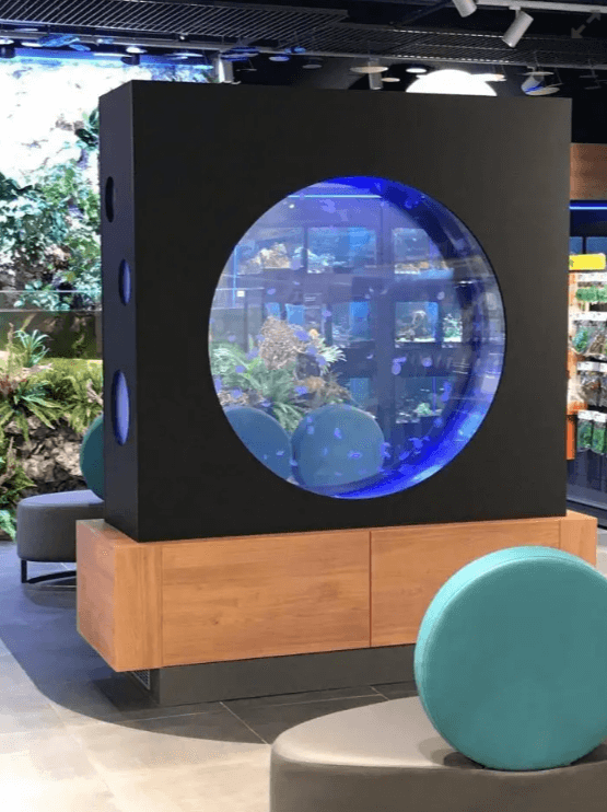 Custom made aquarium