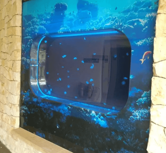Custom oval jellyfish aquarium - PetJellyfishUS