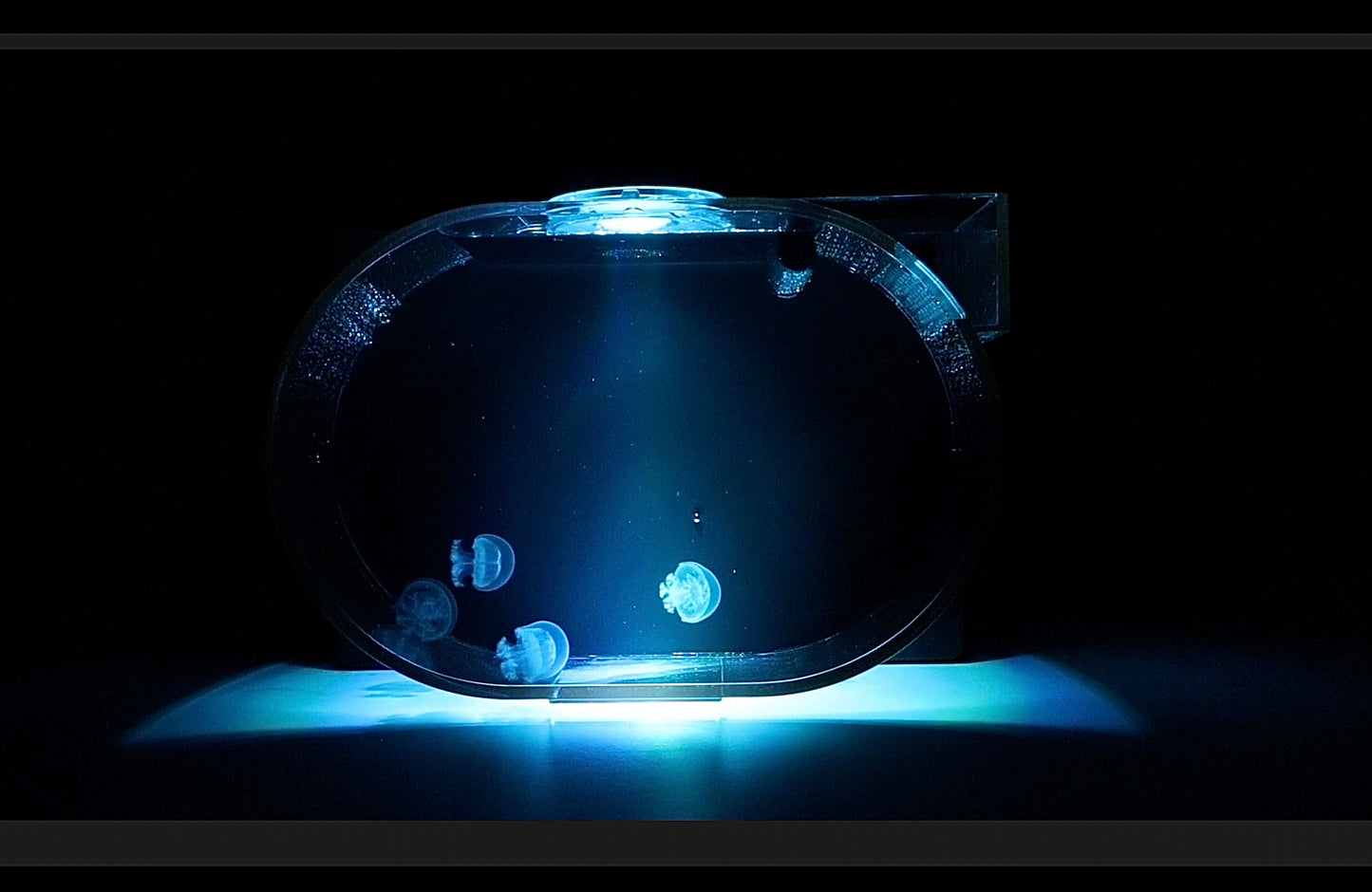 Deluxe Jellyfish Aquarium starter kit