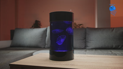 C8 Nano jellyfish aquarium