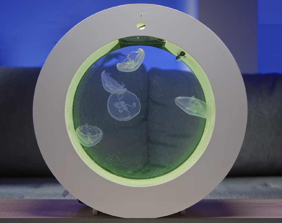 O16 Jellyfish Aquarium starter kit