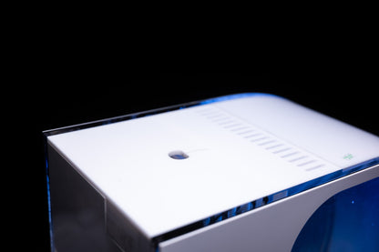 Alpha55 jellyfish aquarium