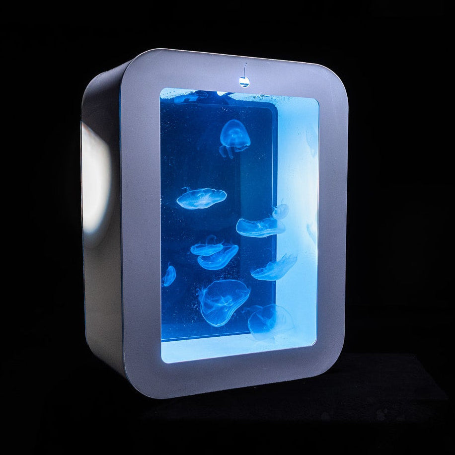S58 jellyfish aquarium