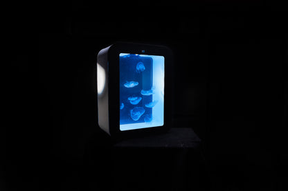S58 jellyfish aquarium