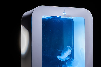 S58 jellyfish aquarium