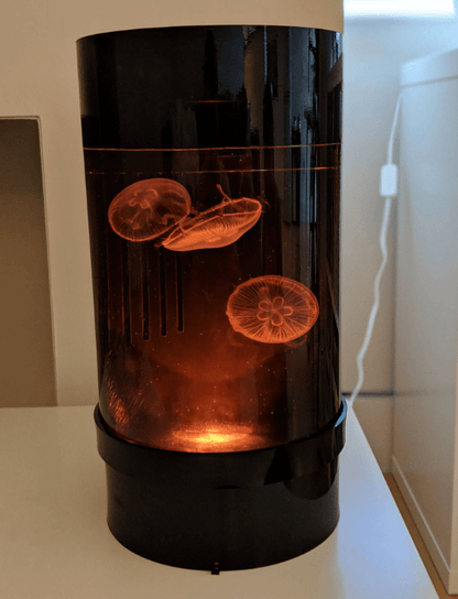 Jellyfish aquarium