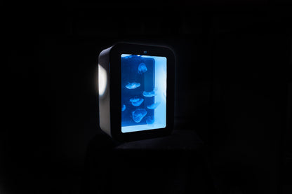 S58 jellyfish aquarium