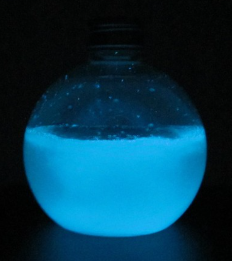 Bioluminescent Algae Starter Kit