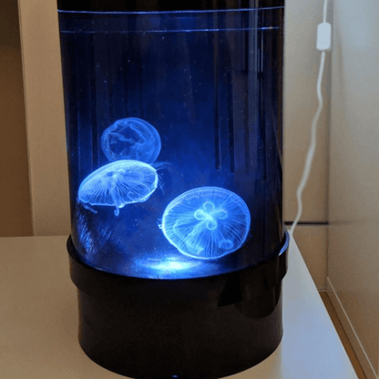 Jellyfish aquarium